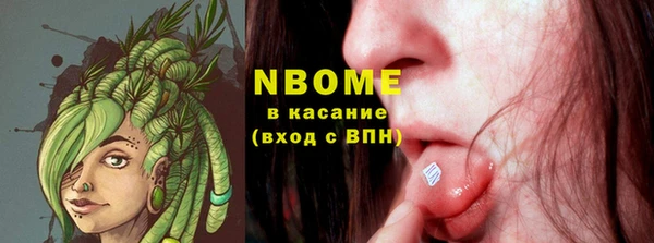 прущие грибы Горняк
