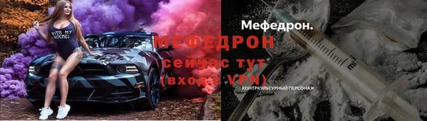 прущие грибы Горняк