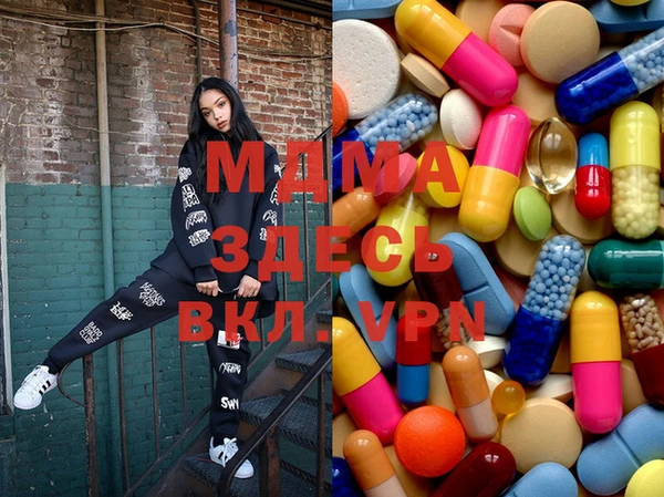 прущие грибы Горняк