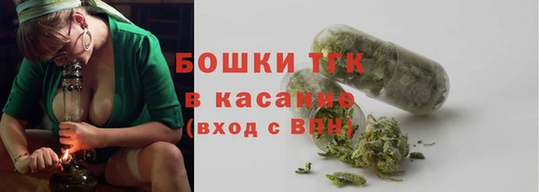 прущие грибы Горняк