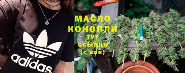 прущие грибы Горняк