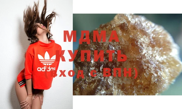 прущие грибы Горняк