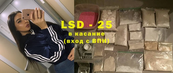 прущие грибы Горняк