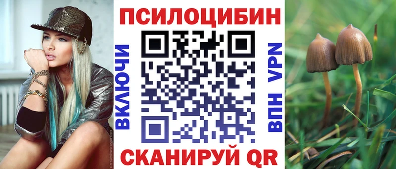 Купить закладки  Чапаевск  Псилоцибиновые грибы Psilocybe 